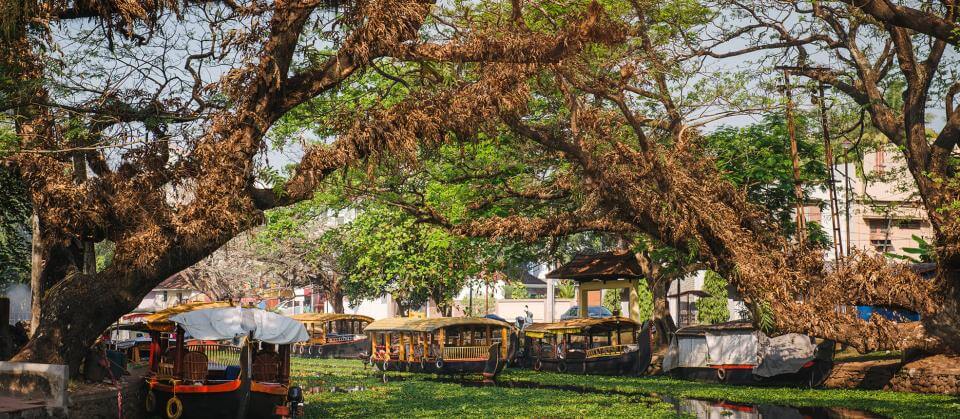 Alappuzha Backwater