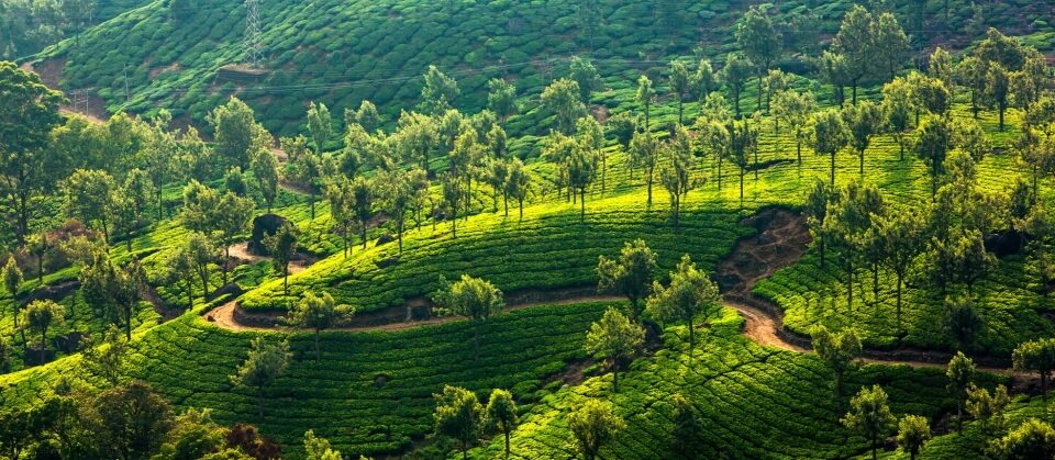 Munnar