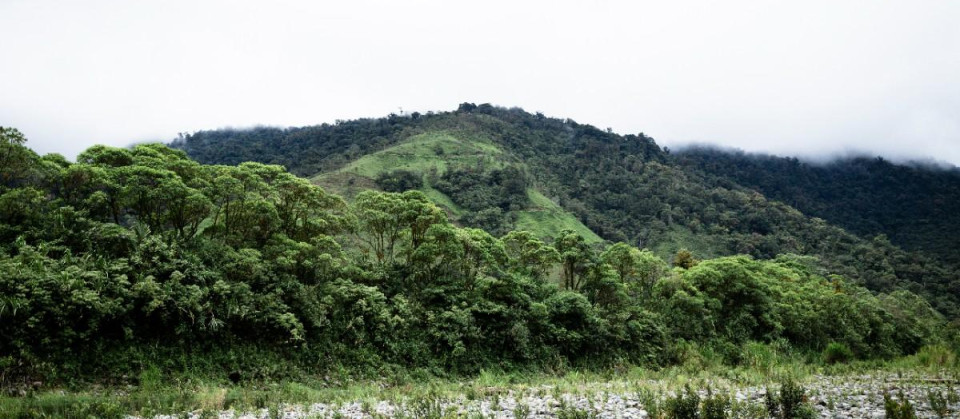 Kerala Hill Stations Covered in Popular Holiday Packages to Kerala