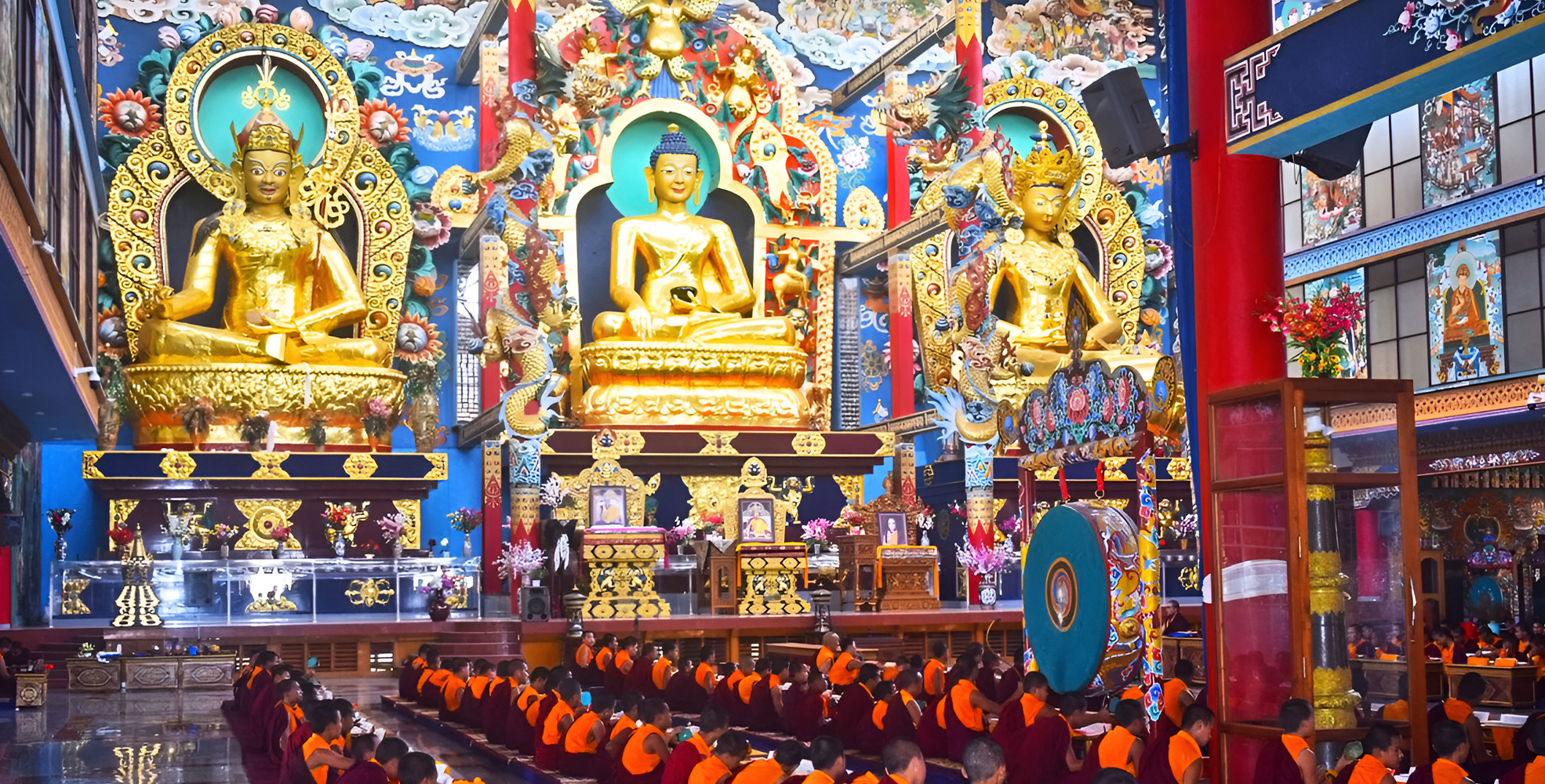 Coorg / Mysore / Ooty