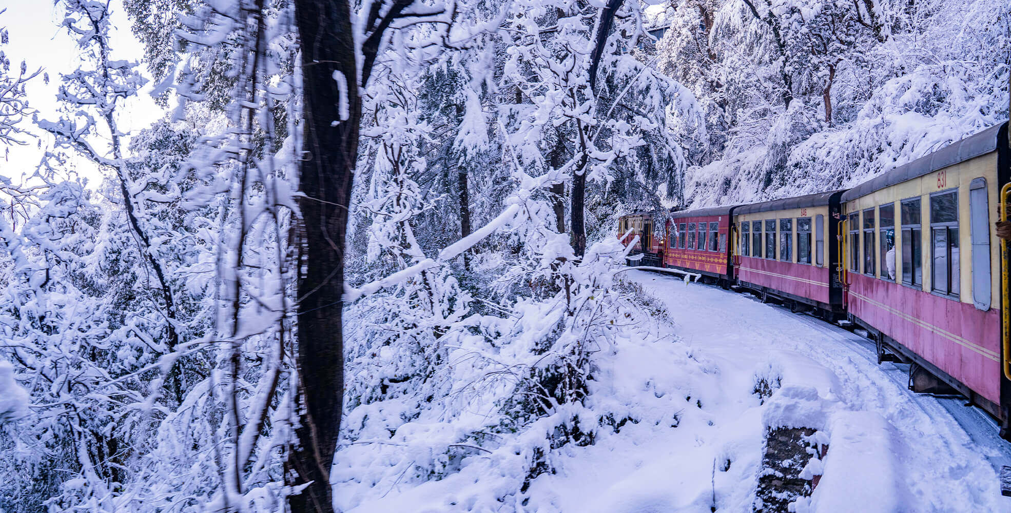 Manali Tour Packages