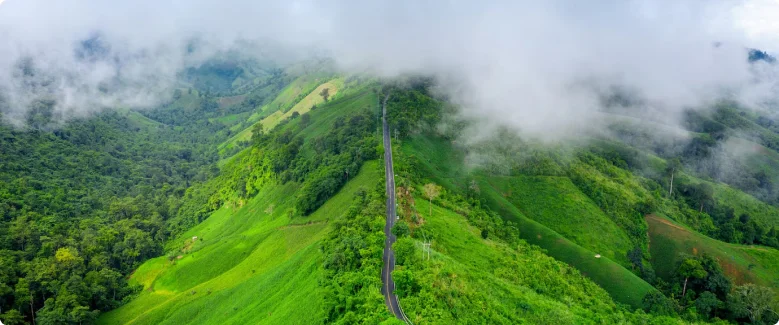 2N3D Kerala Budget Package - 3