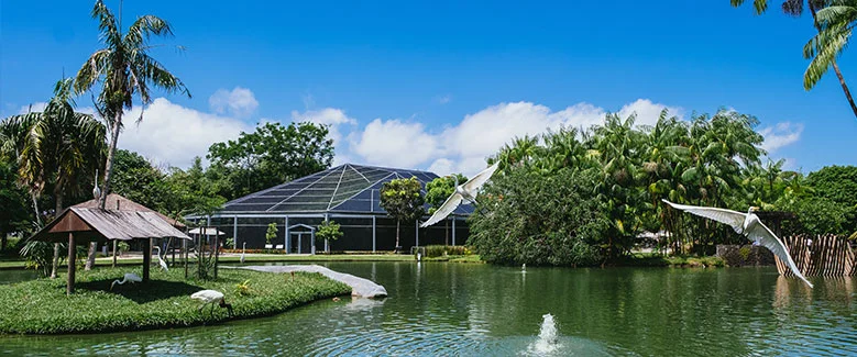 2N3D Backwater & Waterfalls - 3