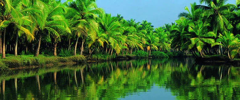 2N3D Alleppey & Wonderla - 2