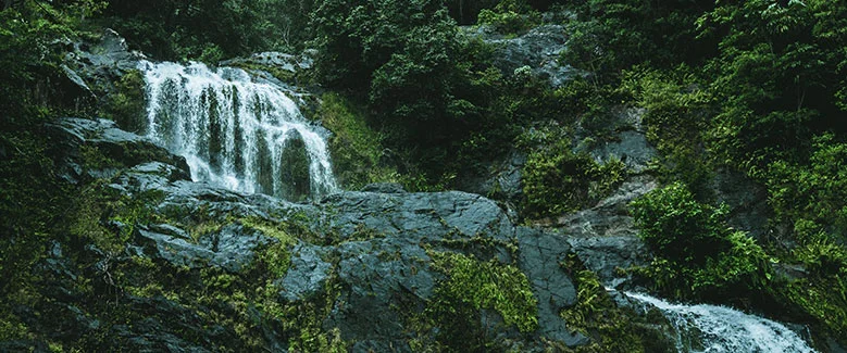 4N5D Kerala Season Plan - 2