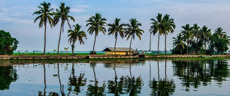 4N5D Kerala Season Plan - 5