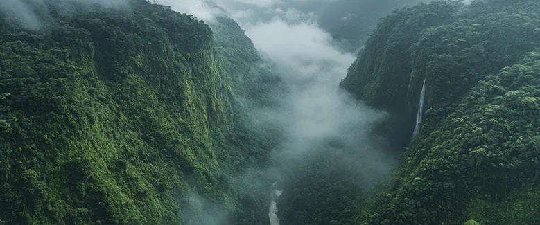 3N4D Kerala Standard Honeymoon Package - 2