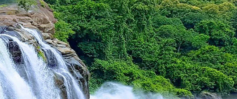 4N5D Kerala Budget Package with Waterfalls - 2