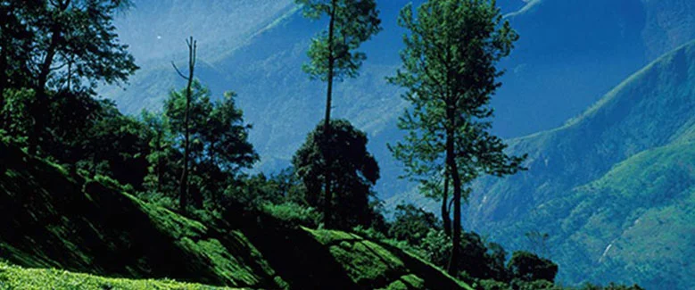 5N6D Kerala Beach Plan - 4