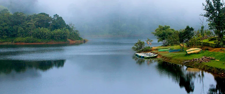 4N5D Premium Kerala Hills & Backwater Resort - 4