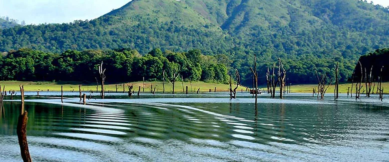 4N5D Kerala Tree House Package - 4