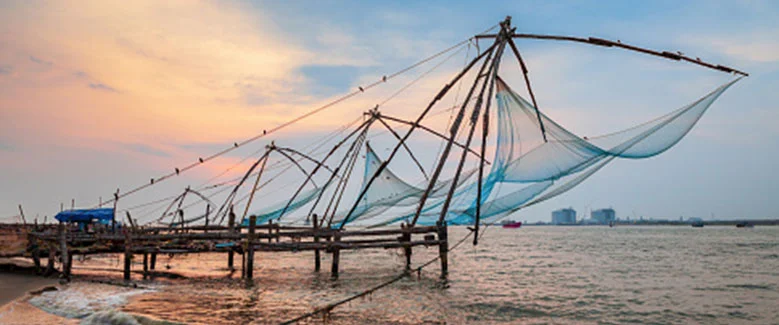 4N5D Kerala Tree House Package - 6