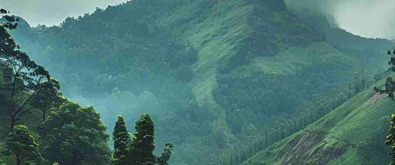 5N6D Kerala Plan with Waterfalls - 4