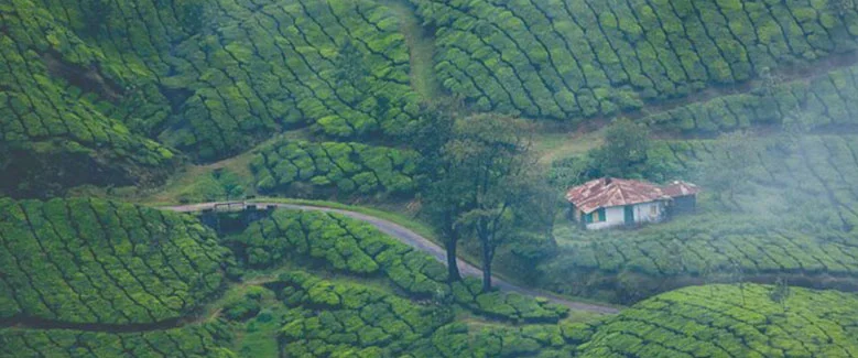 4N5D kerala Standard Family Package - 2