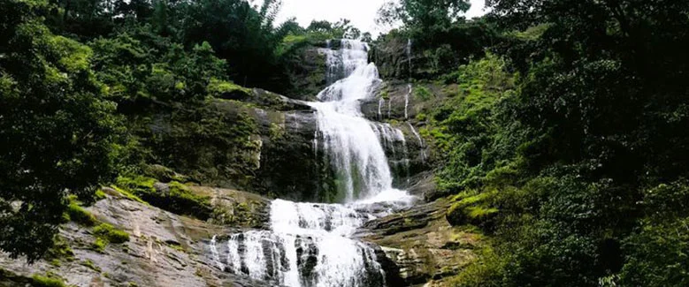 6N7D Kerala Standard Holiday - 2