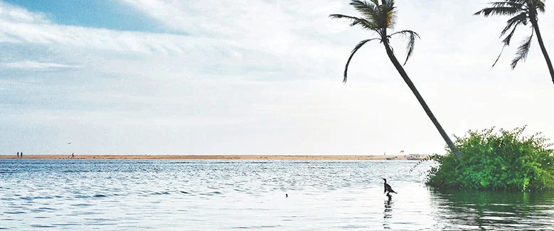 6N7D Kerala Standard Holiday - 6