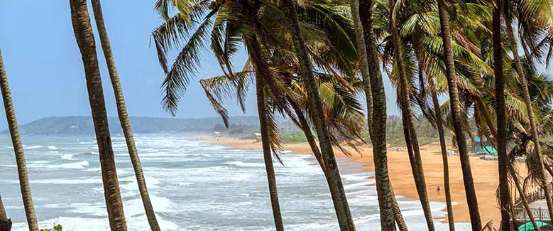 4N5D Goa Tour Package - 4