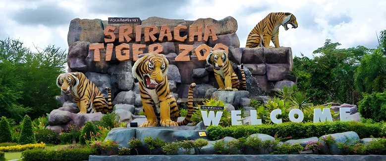 6N7D Thailand Tour Package - 4