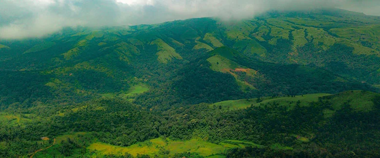 3N4D Coorg - Mysore - 2