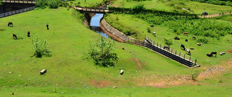 5N6D Coorg Mysore Ooty Package - 3