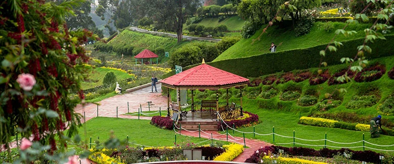 4N5D Ooty Kodaikanal  Package - 2