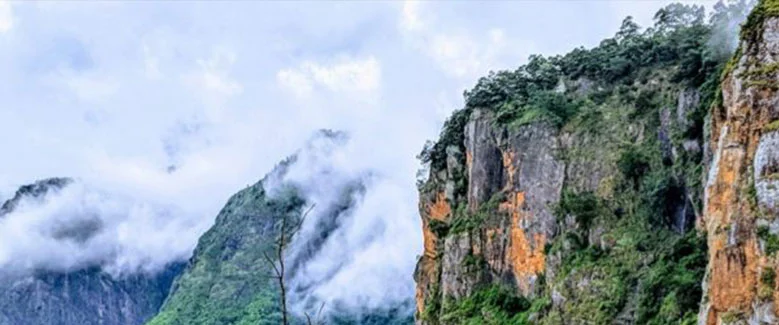 4N5D Ooty Kodaikanal  Package - 4