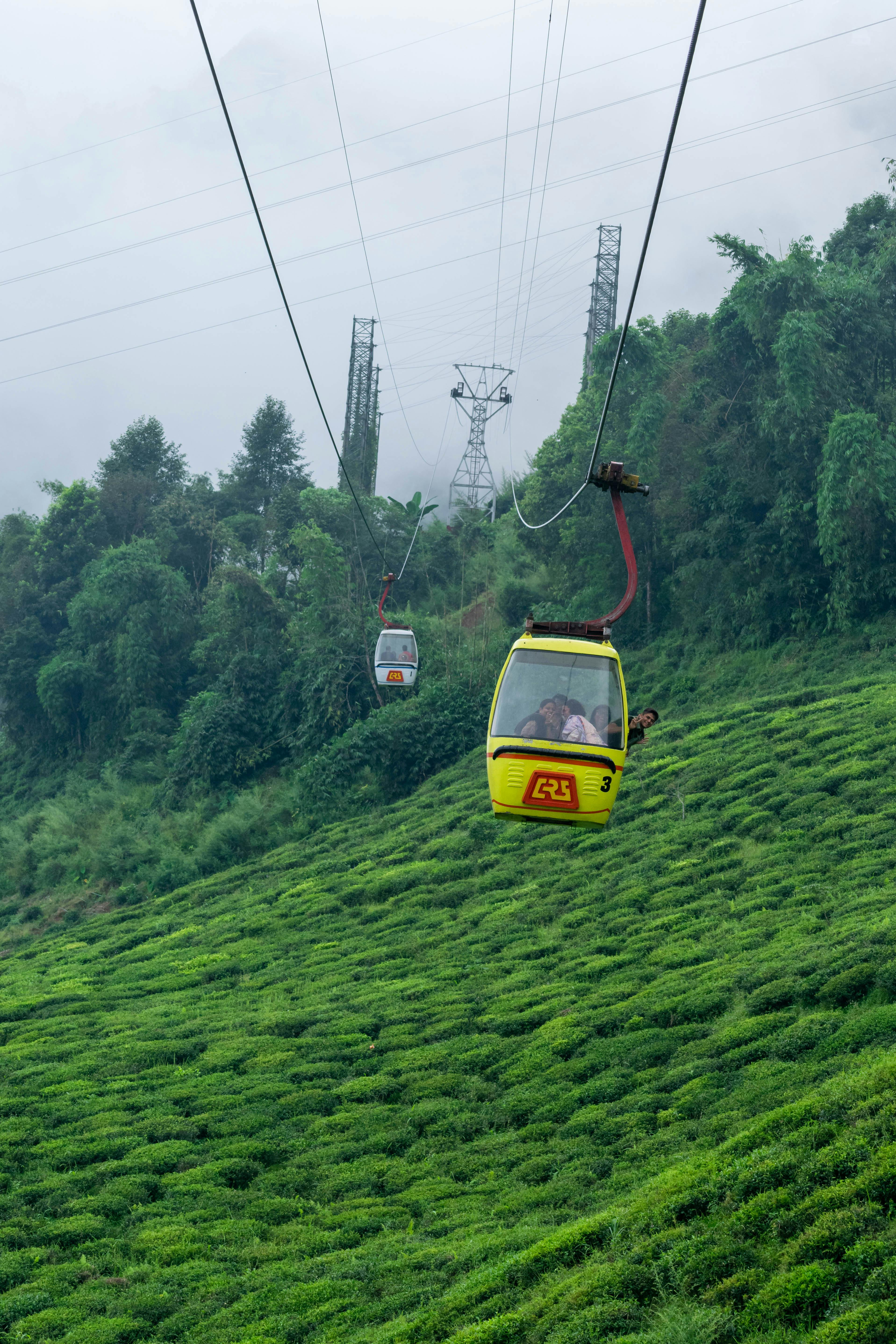 4N5D Gangtok Darjeeling Package - 5