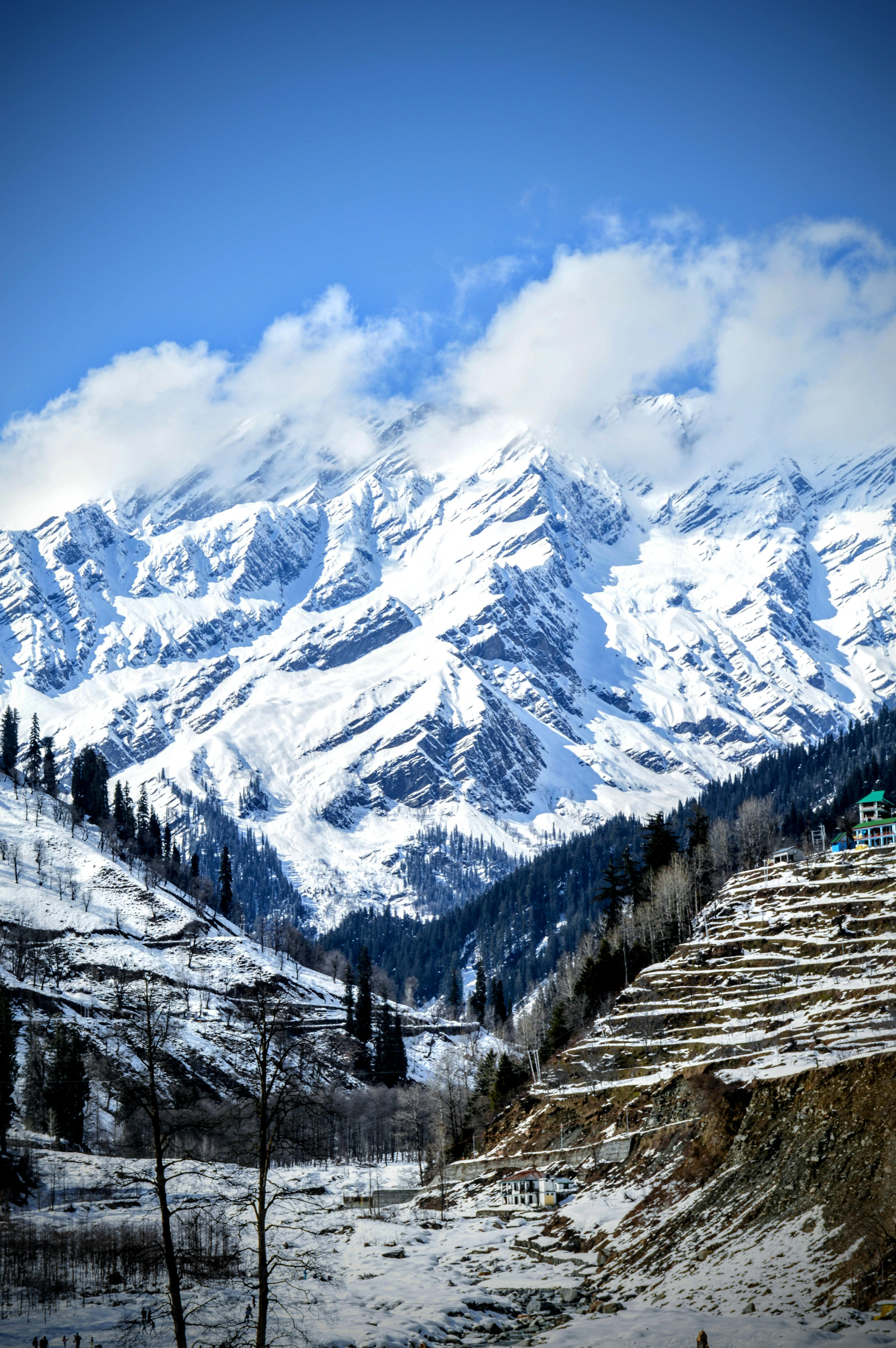 5N6D Shimla Manali Package - 7
