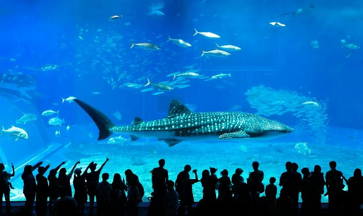 5N6D Malaysia with Penang - 7