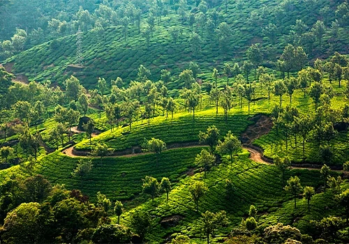3N4D KERALA PREMIUM PACKAGE
