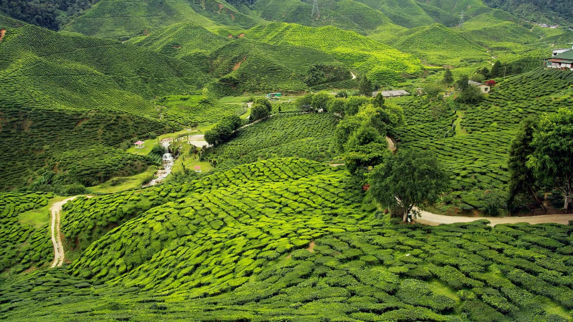 3N4D Kerala Premium Package - 3