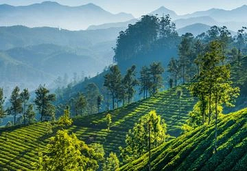 5N6D Kerala Premium Plan with Private Pool - 1