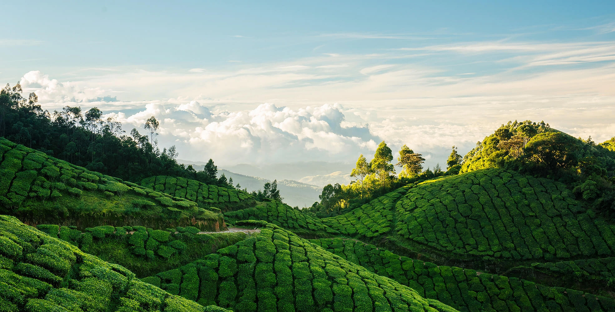 Kerala Tour Packages