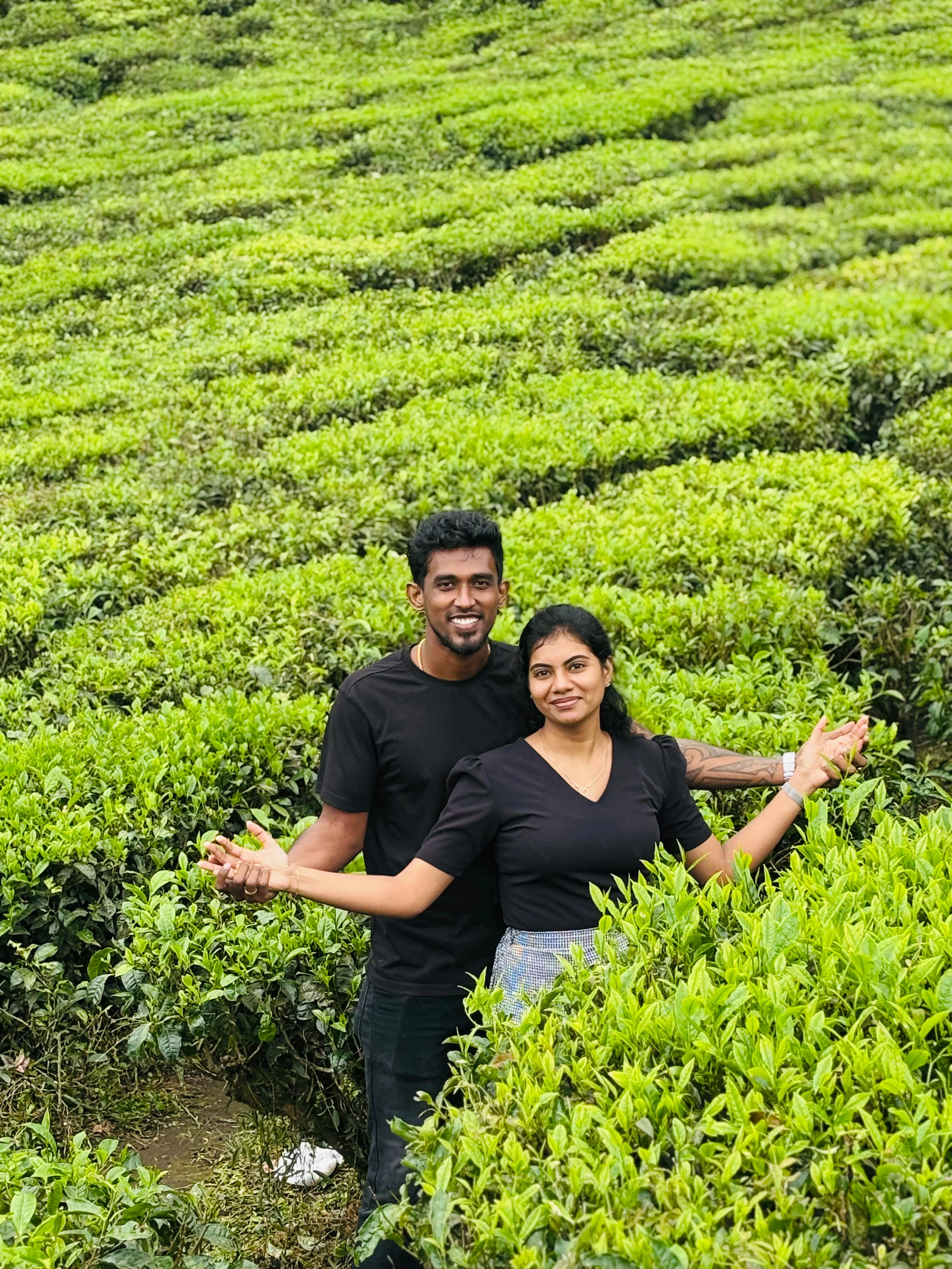 6N7D Kerala Standard Holiday - 2