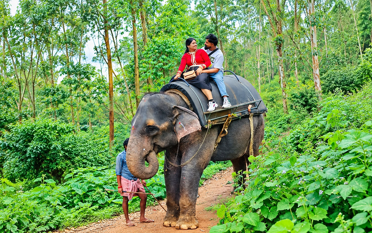 4N5D Kerala Premium Private Pool Package - 2