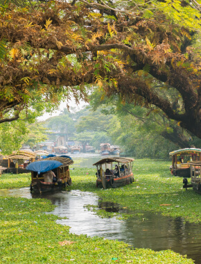 4N5D Premium Kerala Hills & Backwater Resort - 1