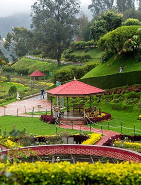 2N3D Ooty Tour Package - 1