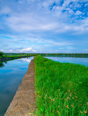 5N6D Kerala Beach Plan - 1