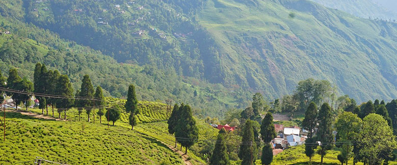 Gangtok Darjeeling Package - 4