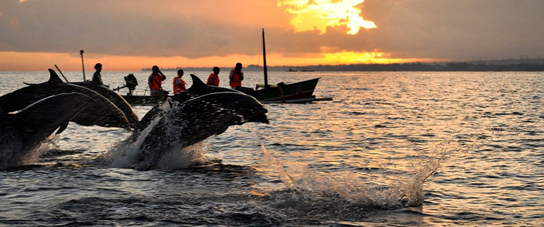 Bali Premium  Tour Package - 3