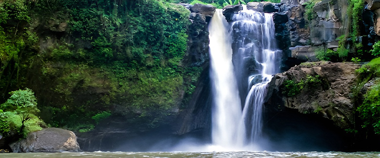 Bali Premium  Tour Package - 5