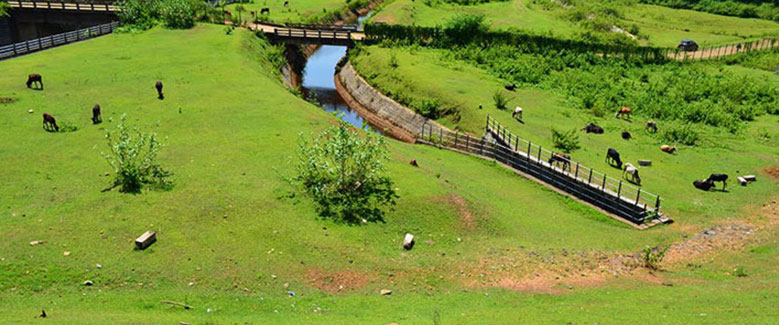 5N6D Coorg Mysore Ooty Package - 3