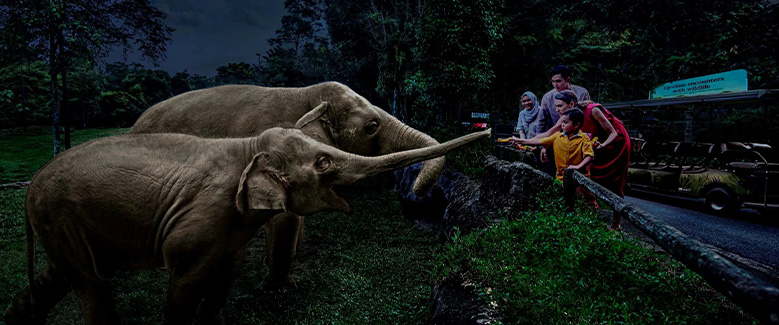 Singapore Tour Package - 2