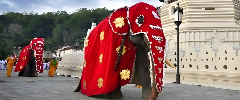 Sri Lanka Package - 2