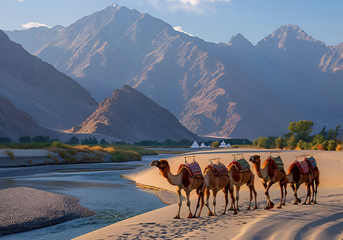 Leh Ladakh Tour Package - 1