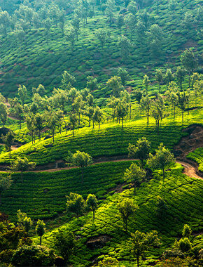 2N3D Kerala Budget Package - 1