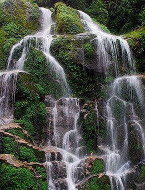 4N5D Gangtok Darjeeling Package - 1