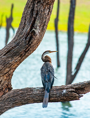 4N5D kerala Standard Family Package - 1