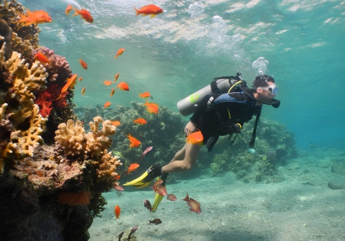 Lakshadweep Package - 1