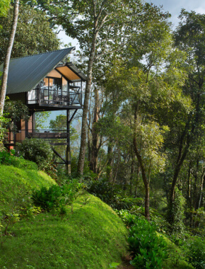 4N5D Kerala Tree House Package - 1